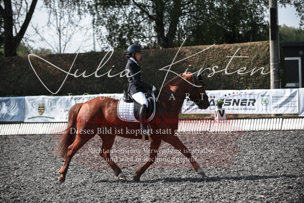 20230513_JK-Röhrsdorf-14-104 | Pferde- und Turnierfotografie in Westsachsen. Pferdeportraits, Auftragszeichnungen und intuitive Kunst.