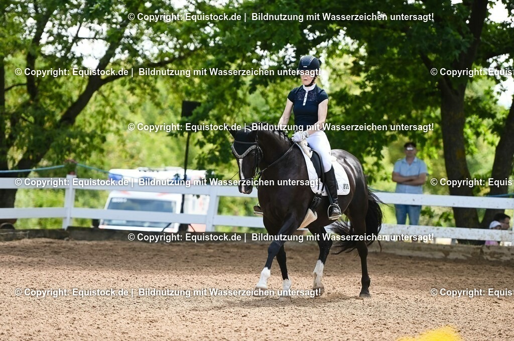 20230716_03_Dressurprfg. Kl.L - Tr._0138 | equistock