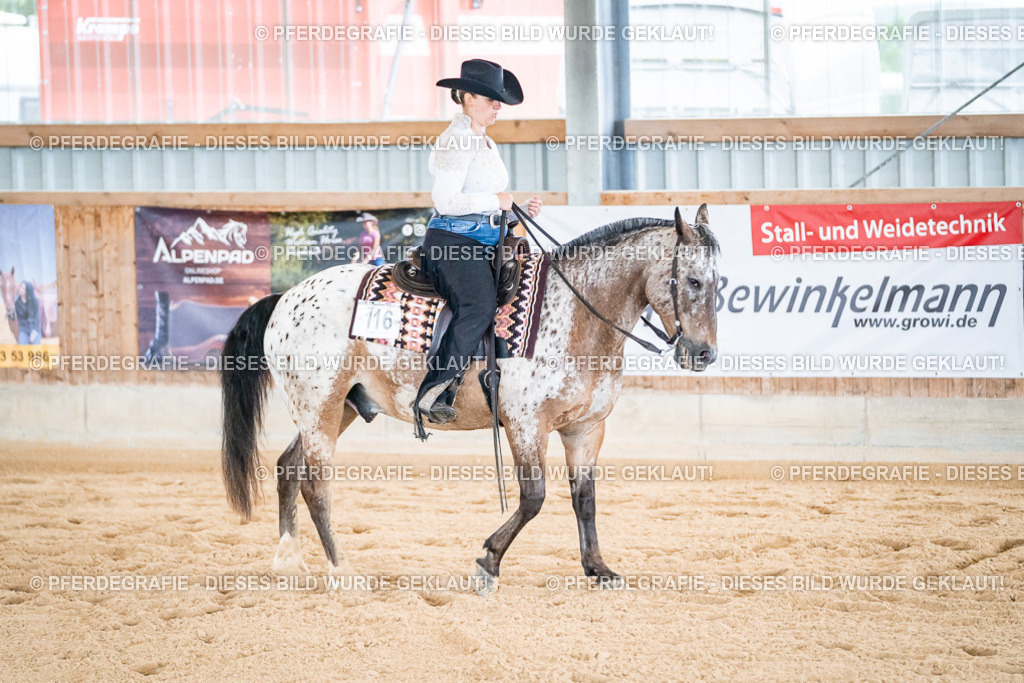 DSC01800 | Pferdegrafie