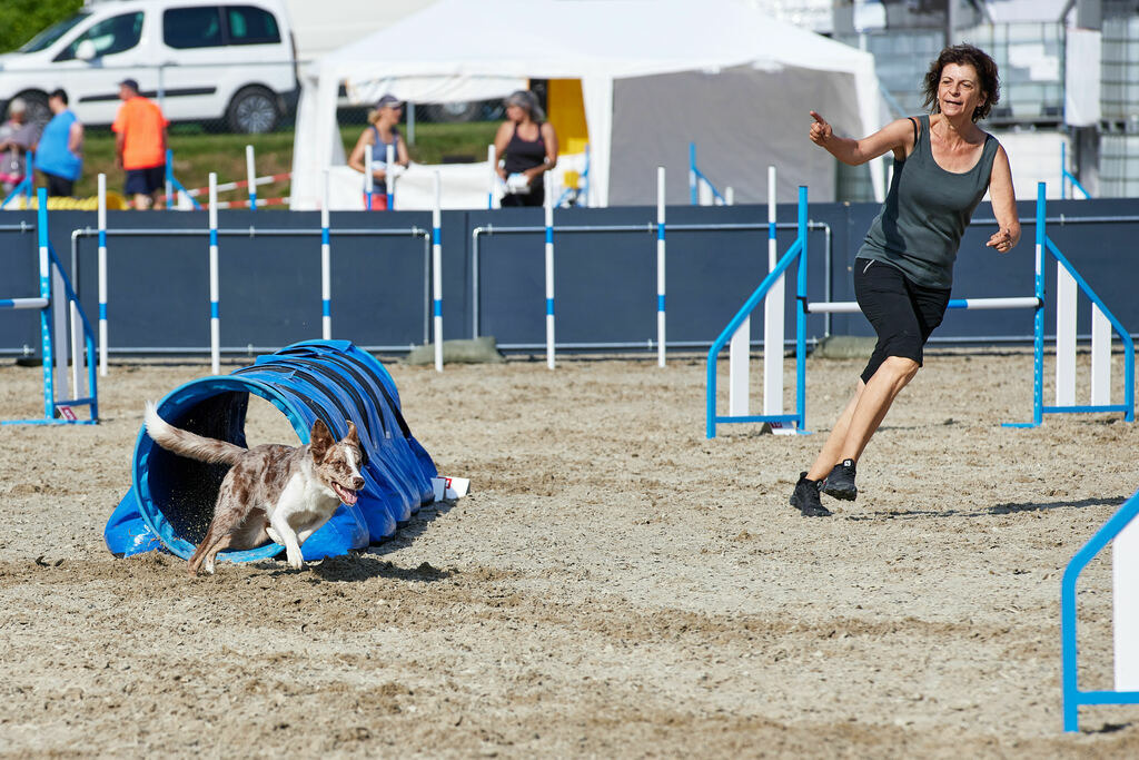 580A0091 | Peter Fridle Fotografie - Realisiert mit Pictrs.com