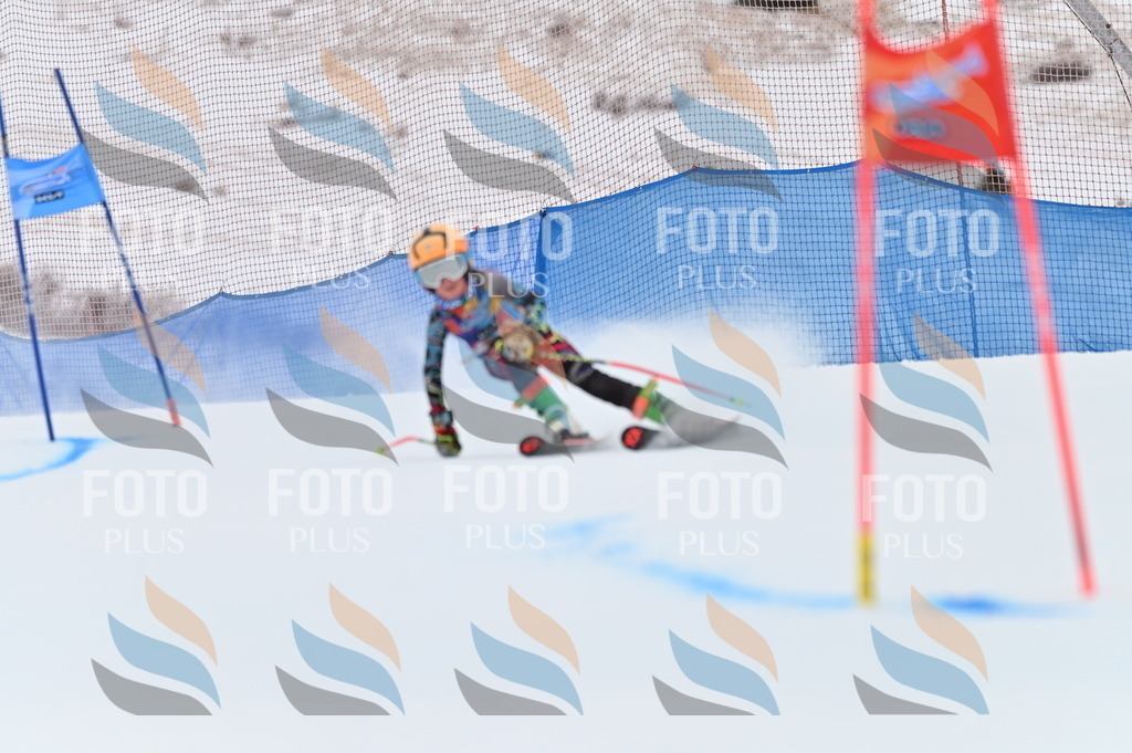 BGV_9797 | holidayphoto