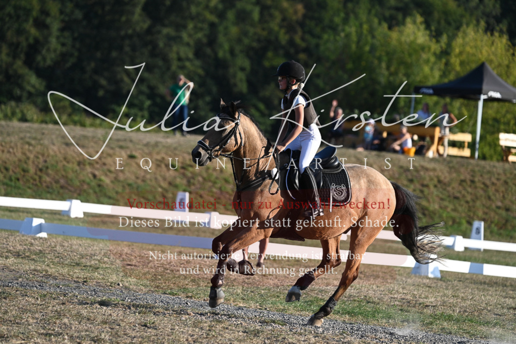 DSC_9175 | Pferde- und Turnierfotografie in Westsachsen. Pferdeportraits, Auftragszeichnungen und intuitive Kunst.