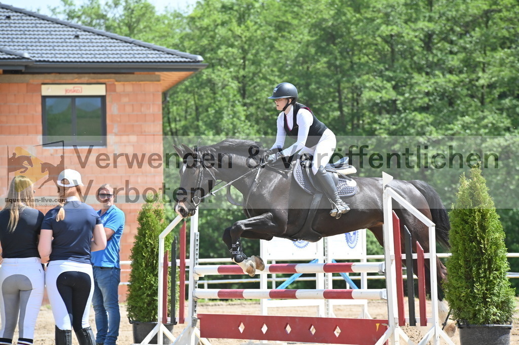 DSC_8598 | equestrian-live-com
