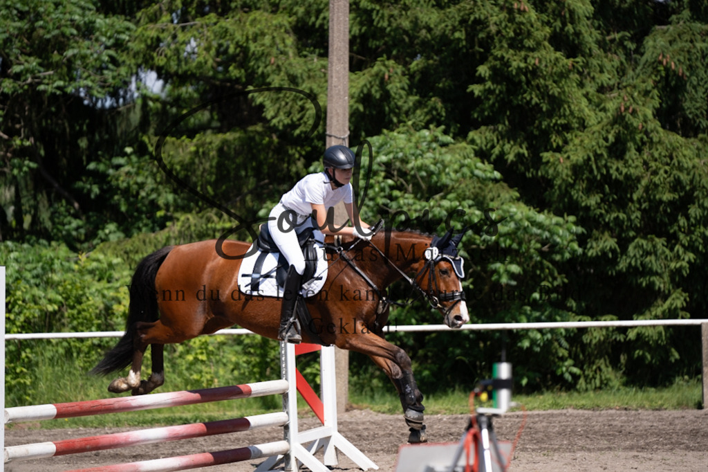 A7V03282 | Pferdefotograf