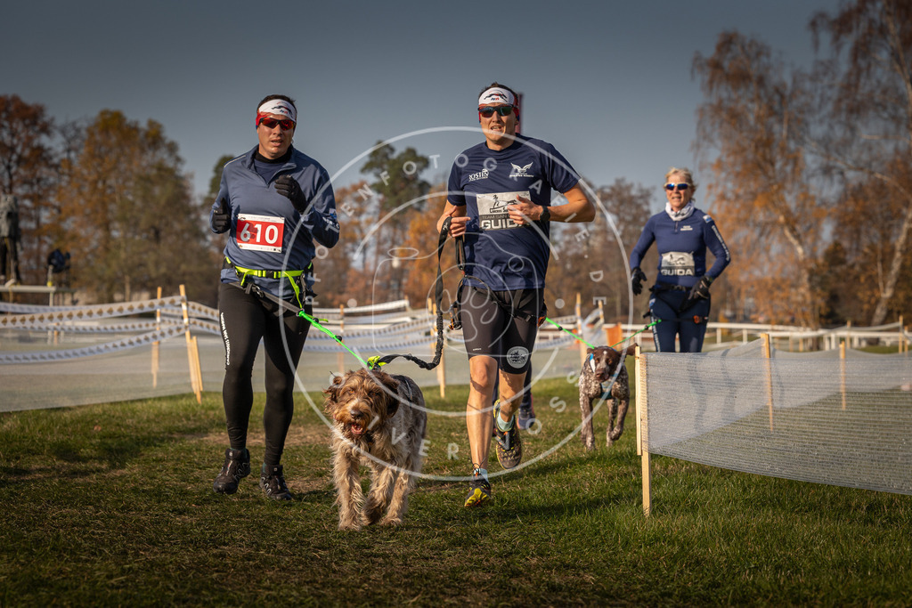 CaniXpix_0L8A0153 | Hundefotografie, Tierfotograf, Pfotenfotografie, Fotoshooting Hund, Hunde Portrait, Hundesport, Hundeportraits, Heideshooting, Hunde, Sportfotograf, Hundefotograf, Turnierhundsport, THS,  - Realisiert mit Pictrs.com