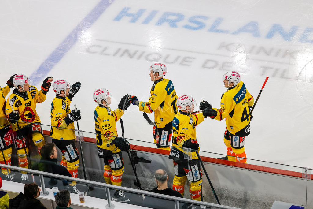 EHCB vs SCB 20260110_wb-2910 | Sportbilder, Sportfotograf, Hochzeits- und Eventfotografin, Flugshows, Portraits und Tiershooting, Aviation, Downhill, Nationalleague, Swissleague, International