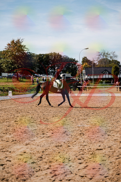 2026_10_03_Siefer-Hof_133509_Z63_94293653 | Professionelle Reitsport-, Turnier- und Eventfotografie von Robert Broda. Galerien mit ausgewählten und bearbeiteten Bildern direkt online ansehen und bestellen.