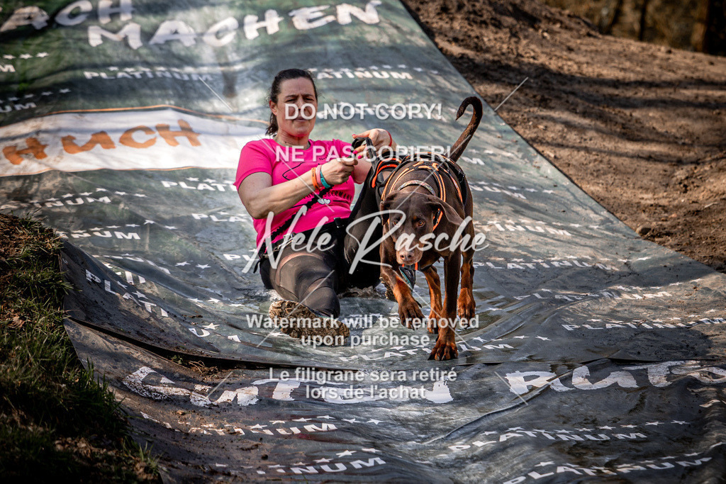nelerasche_Hulsbeek_So1030-1100_348 | nelerasche