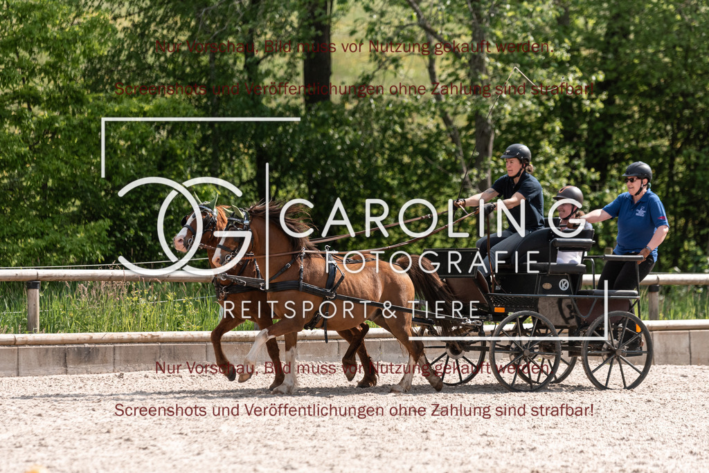 DSC_1946 | Turnierfotografin Carolin Gieschke, Turnierfotografie Carolin G Fotografie, Turnierfotos Kirchheim/Teck, Esslingen, Stuttgart, Bodenseekreis