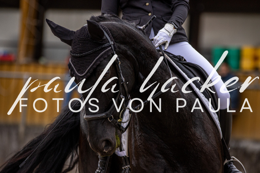 IMG_2731 | Erleben Sie dynamische Sport- und emotionale Tierfotografie in Süddeutschland mit Fotos von Paula. Spezialisiert auf Pferde- und Hundefotografie sowie Sportevents. Kontaktieren Sie mich für einzigartige und ausdrucksstarke Bilder Ihrer besonderen Momente. - Realisiert mit Pictrs.com