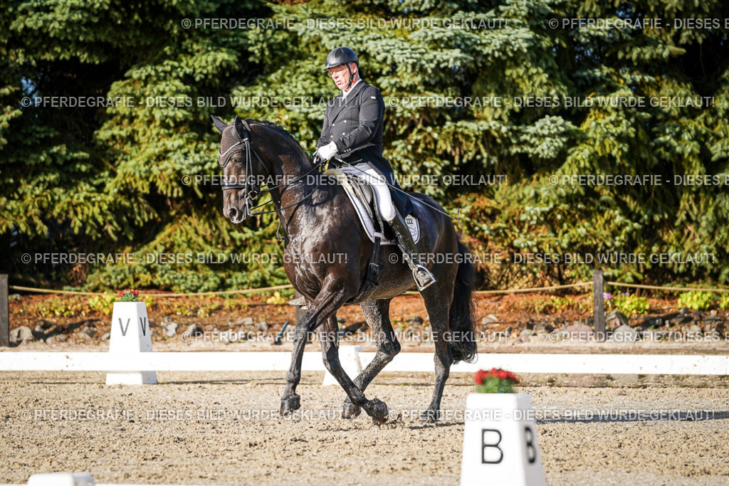 DSC00819 | Pferdegrafie