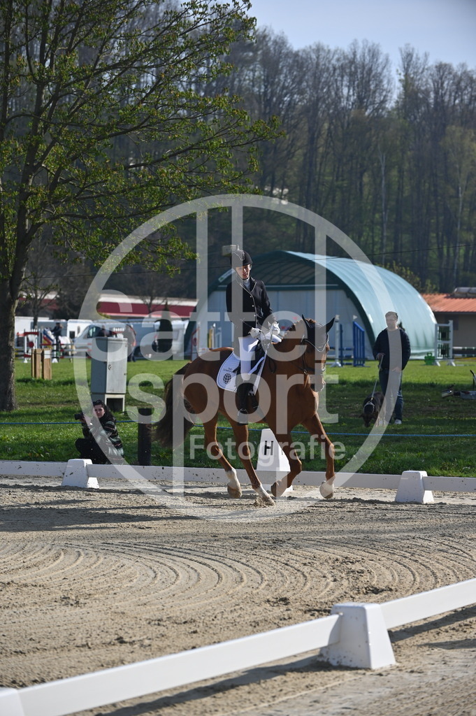 DSC_9917 | sattelsport - Realisiert mit Pictrs.com