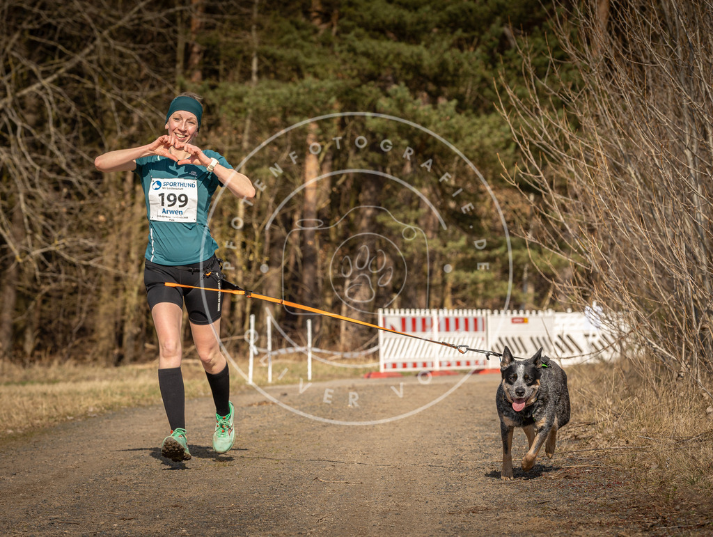 DV3A5935 | Hundefotografie, Tierfotograf, Pfotenfotografie, Fotoshooting Hund, Hunde Portrait, Hundesport, Hundeportraits, Heideshooting, Hunde, Sportfotograf, Hundefotograf, Turnierhundsport, THS,  - Realisiert mit Pictrs.com