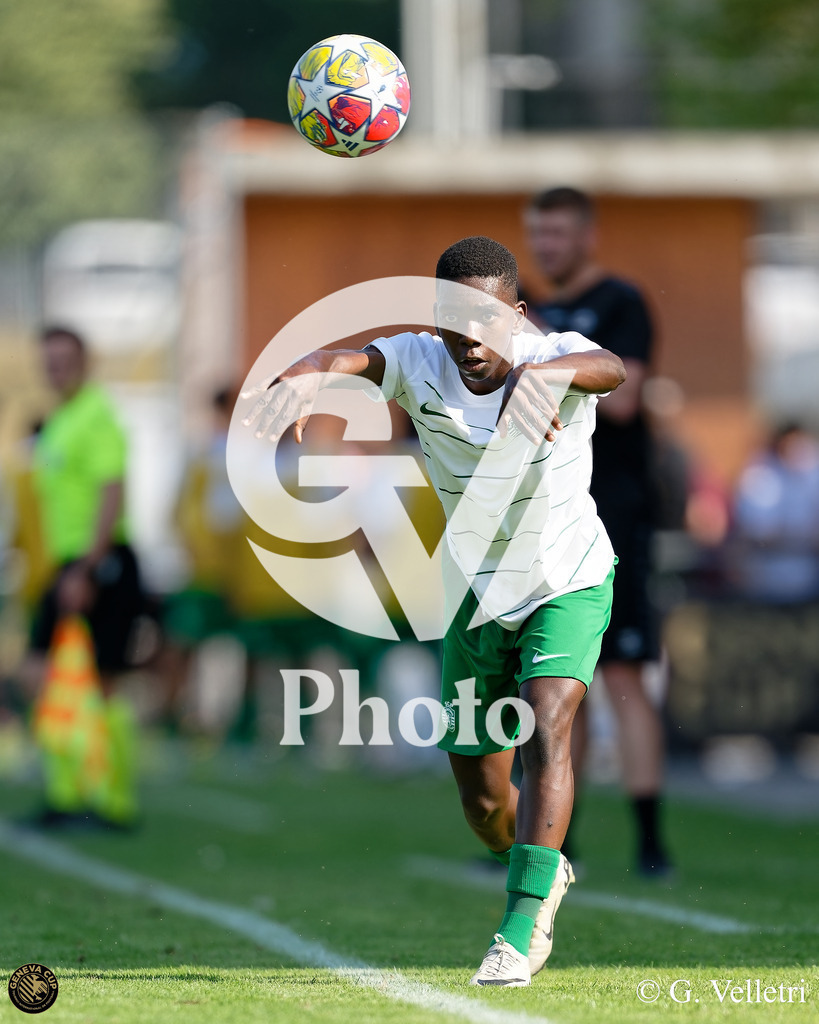 DZ9_6485 | Velletri Photo