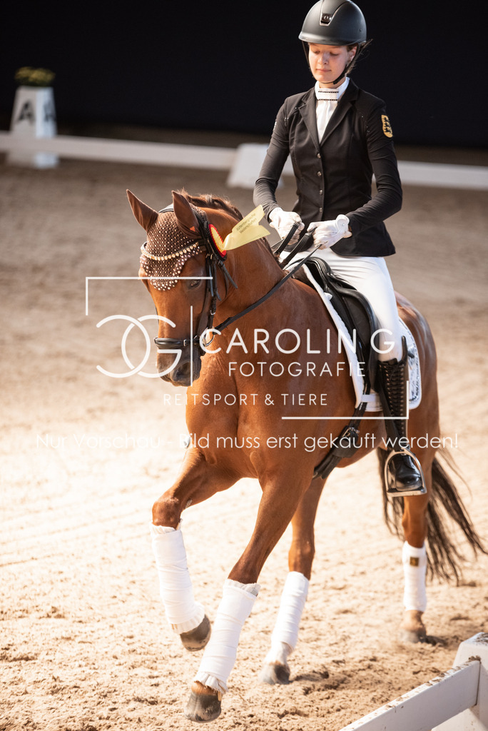 DSC_3512 | Carolin Gieschke