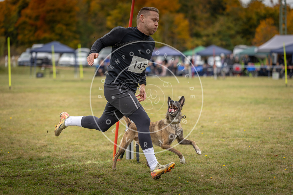 Pfotenfotografie_DV3A8056 | Hundefotografie, Tierfotograf, Pfotenfotografie, Fotoshooting Hund, Hunde Portrait, Hundesport, Hundeportraits, Heideshooting, Hunde, Sportfotograf, Hundefotograf, Turnierhundsport, THS,  - Realisiert mit Pictrs.com