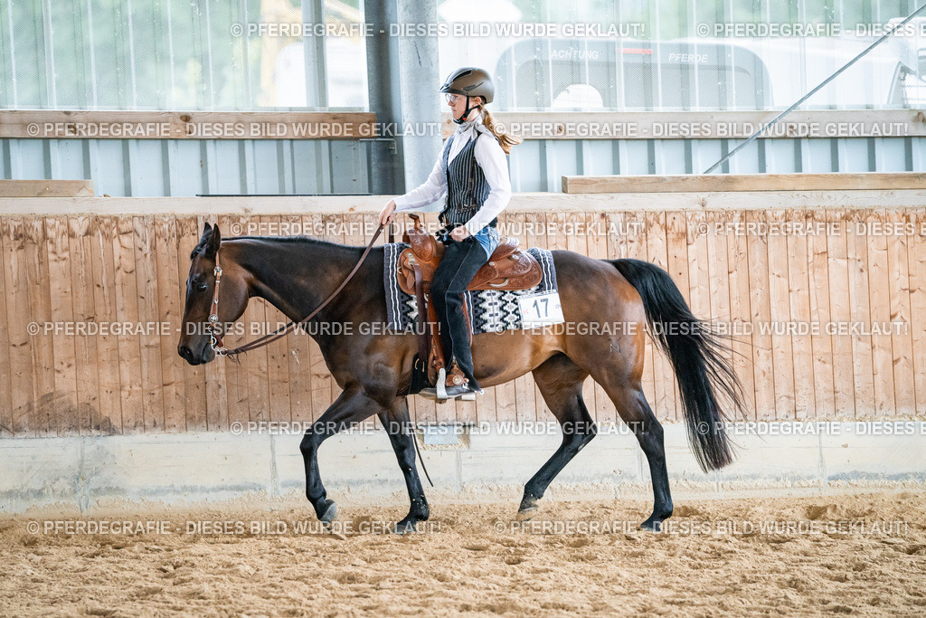 DSC01293 | Pferdegrafie