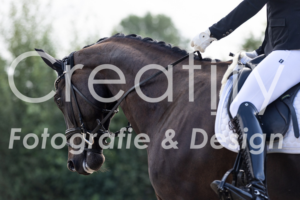 IMG_0189 | Creatify Fotografie