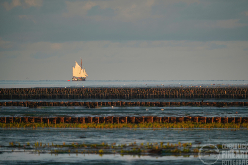 _A7R3010 | Björn Thiemann; Ogenblick.de; Fotografie; Photograph; Landscape, Pellworm, Schleswig-Holstein; Inselfotograf; Inselfotografien; Wattenmeer; National-Park; Naturschutzgebiet; Leuchtturm; Lighthouse; Leinwandbilder; Kalender; Pellworm Kalender;  - Realisiert mit Pictrs.com