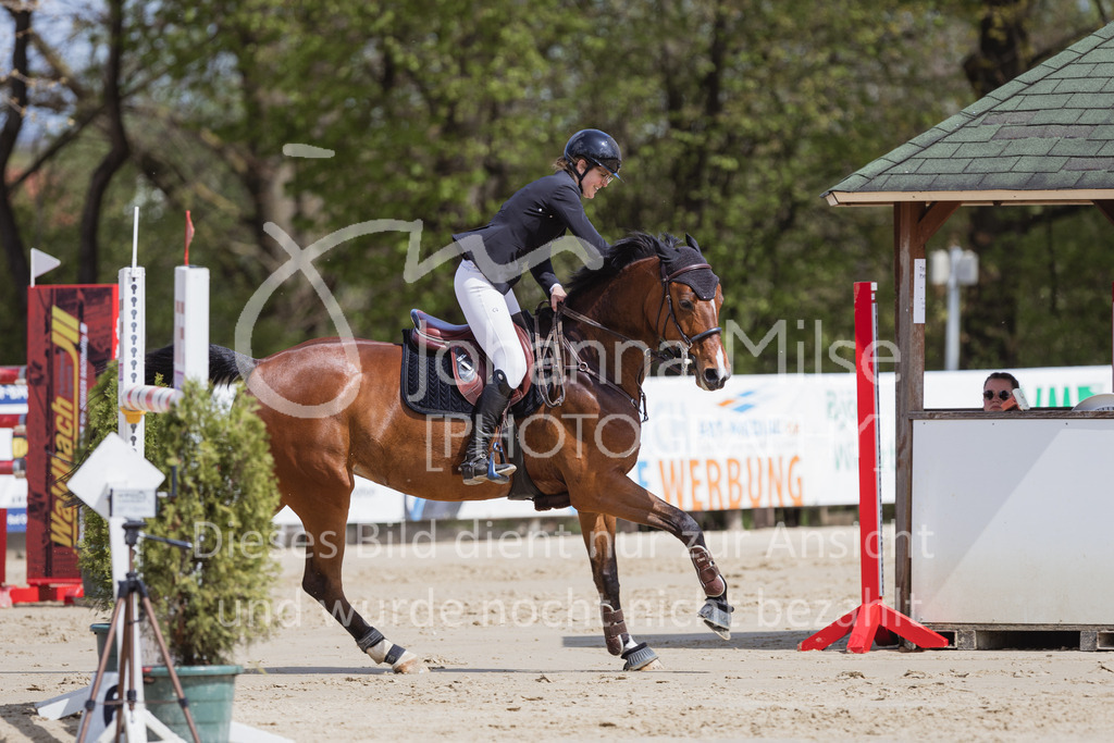 230501_SpengeW_M2St-177 | Deine schönsten Turniermomente als professionelle Fotos! Entdecke hochwertige Pferdesport-Fotografie im Online-Shop. Jetzt Fotos finden & bestellen!