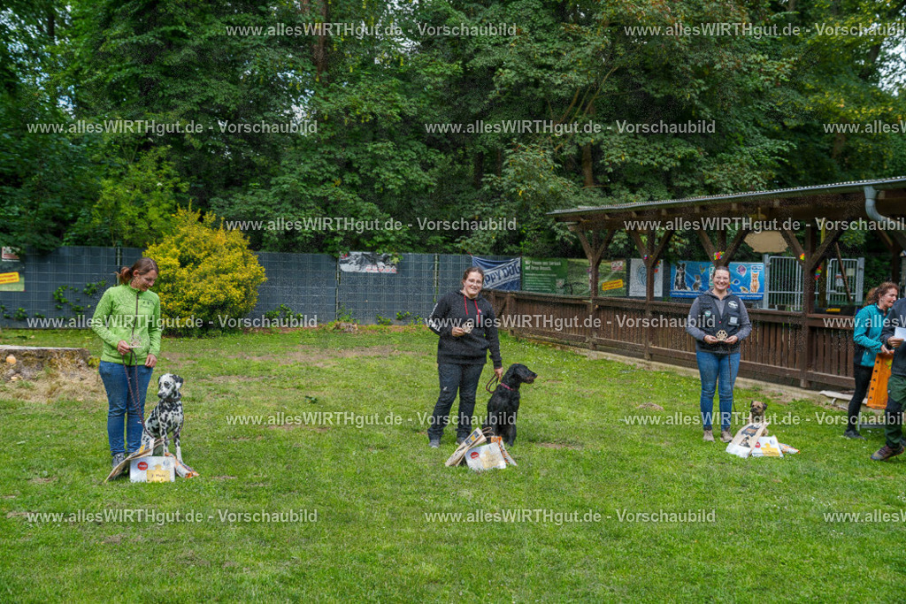 @allesWIRTHgut_Tierfotografie - www.allesWIRTHgut.de - 7R502396 | Professionelle Tierfotografie in Mönchengladbach von Daniel Wirth (allesWIRTHgut). Liebevolle & natürliche Bilder von Hunden & Katzen für unvergessliche Erinnerungen.