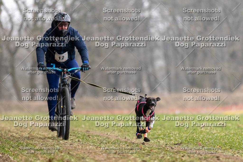 Dog Paparazzi - Plate 2026-17 | Dog Paparazzi Jeanette Grottendiek Fotografie & Videografie - Realisiert mit Pictrs.com