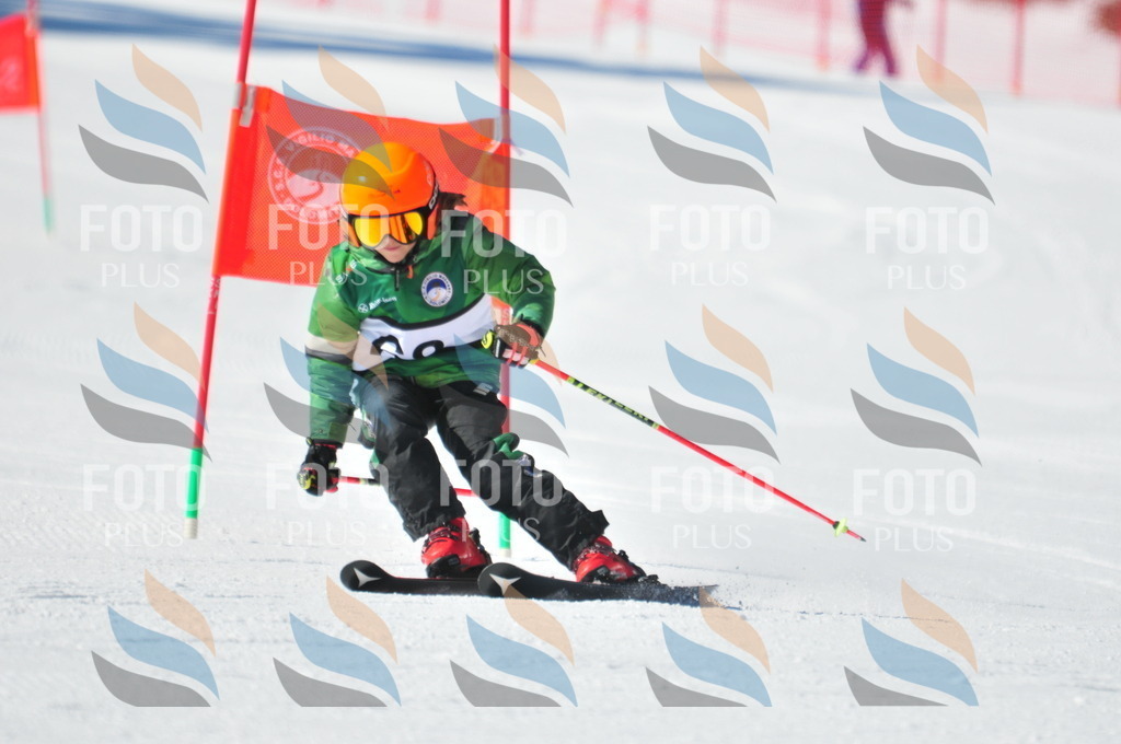 C2999 | holidayphoto