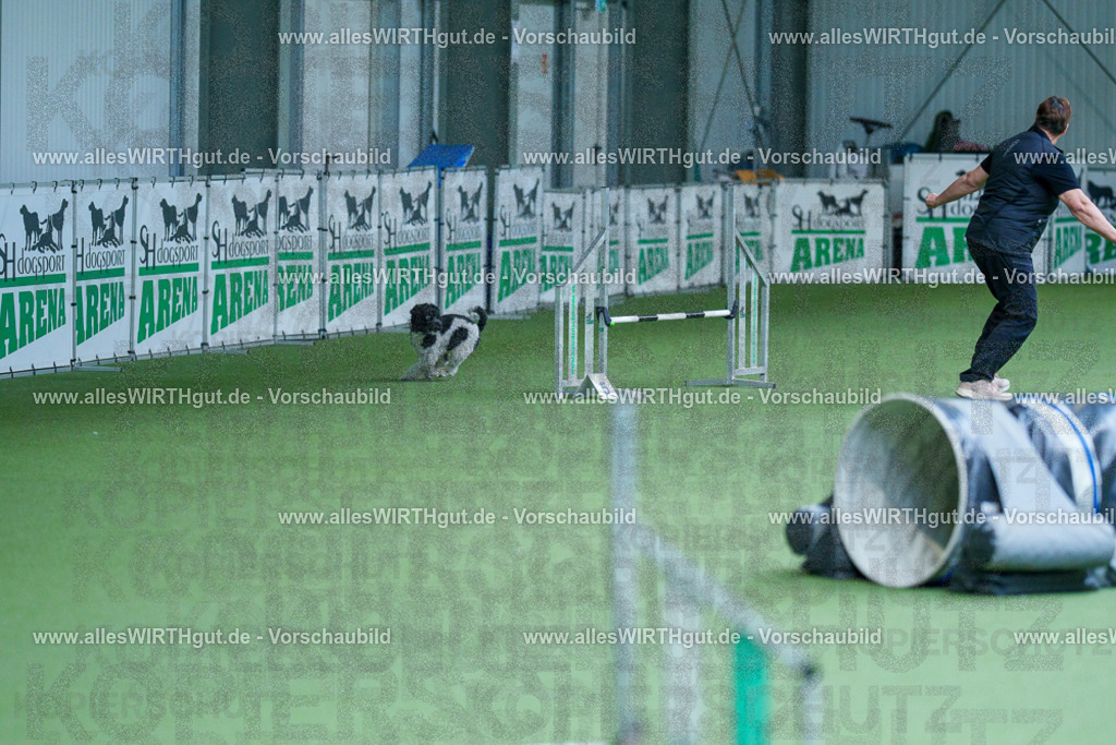 @allesWIRTHgut_Tierfotografie - www.allesWIRTHgut.de - 2604261339-7R502343 | Professionelle Tierfotografie in Mönchengladbach von Daniel Wirth (allesWIRTHgut). Liebevolle & natürliche Bilder von Hunden & Katzen für unvergessliche Erinnerungen.