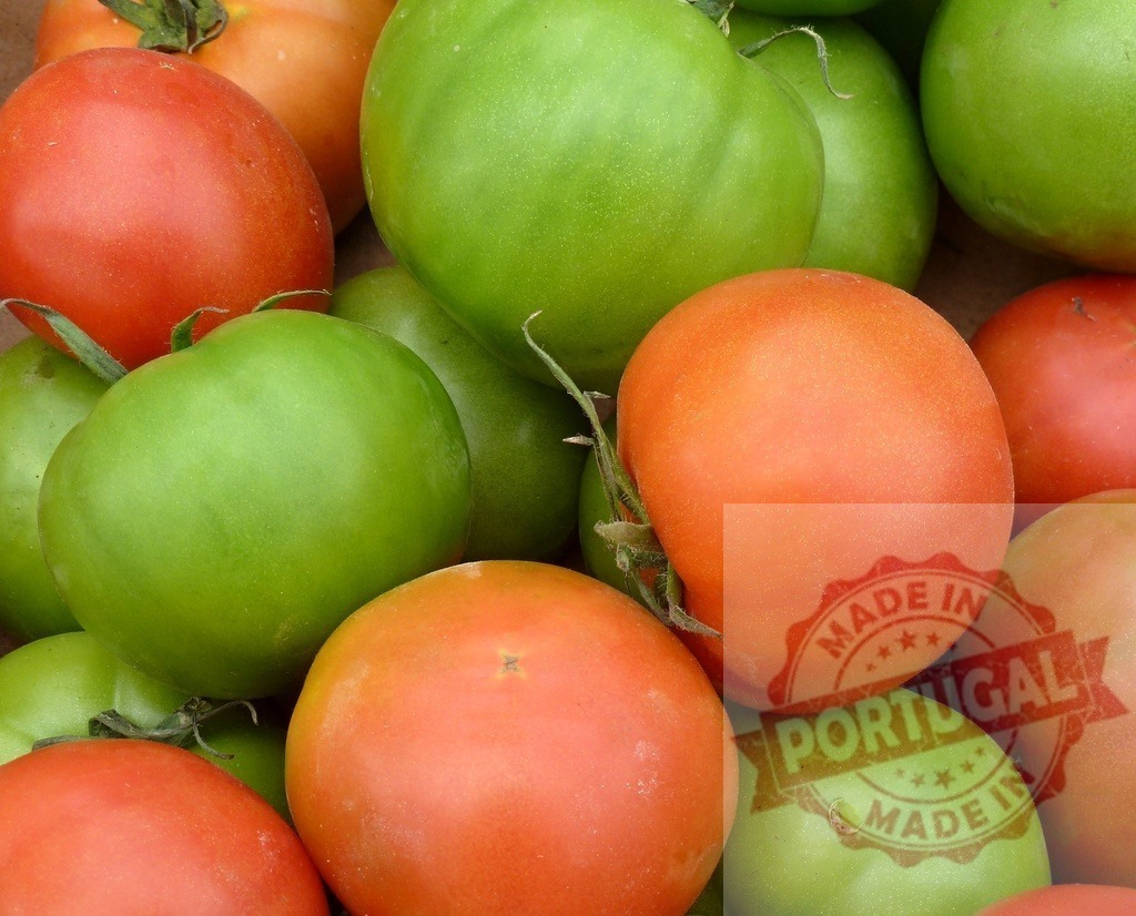 Fresh green and red tomatoes ripening together | Ripe and unripe tomatoes creating a vibrant colorful display of agriculture and harvest - Realized with Pictrs.com