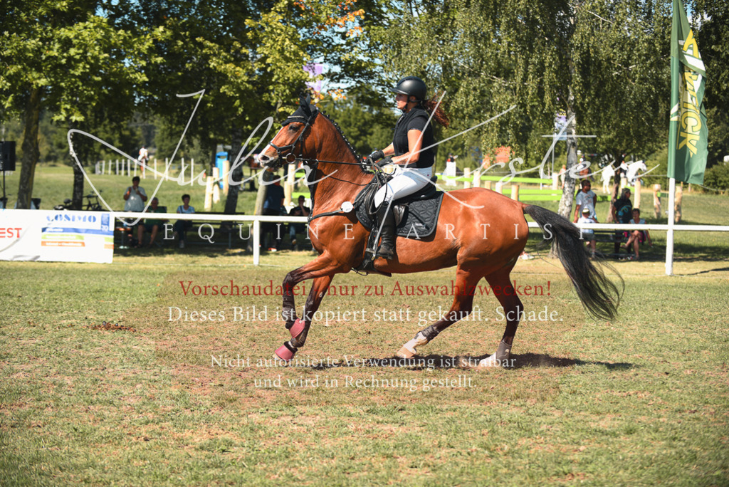 DSC_7088 | Pferde- und Turnierfotografie in Westsachsen. Pferdeportraits, Auftragszeichnungen und intuitive Kunst.