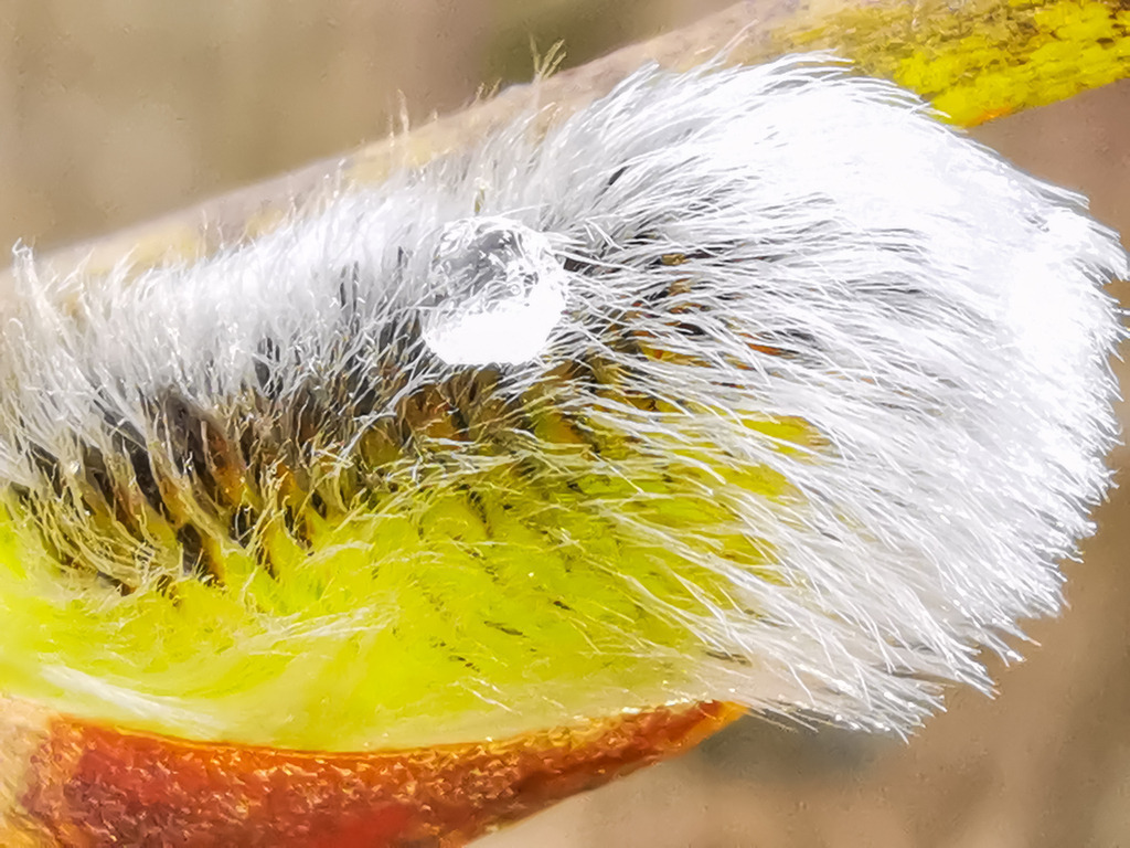 PSX_20230223_230351 | mtkfoto_ - Realisiert mit Pictrs.com