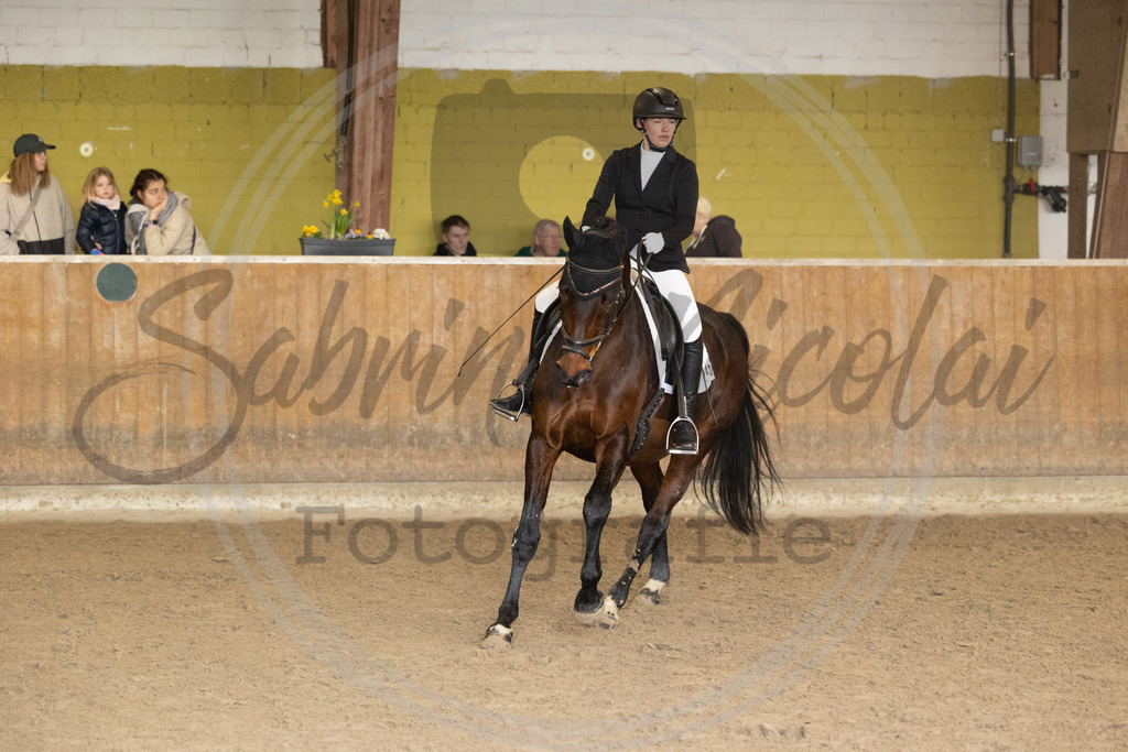 994A8932 | sabrinanicolaifotografie - Realisiert mit Pictrs.com