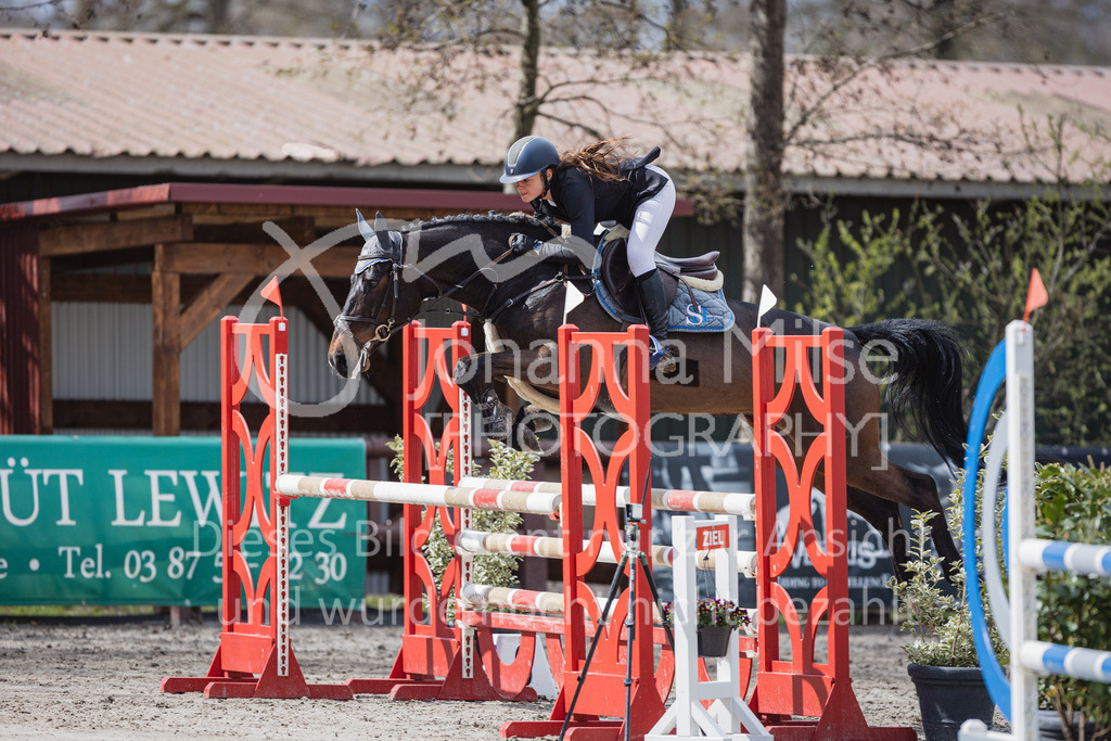 230411_Mühlen_03SprPf-L-349 | Deine schönsten Turniermomente als professionelle Fotos! Entdecke hochwertige Pferdesport-Fotografie im Online-Shop. Jetzt Fotos finden & bestellen!