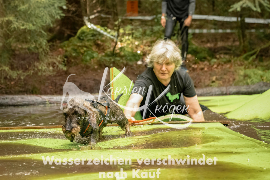 1223_ZZ94264-Bearbeitet | kk-dogfotos
