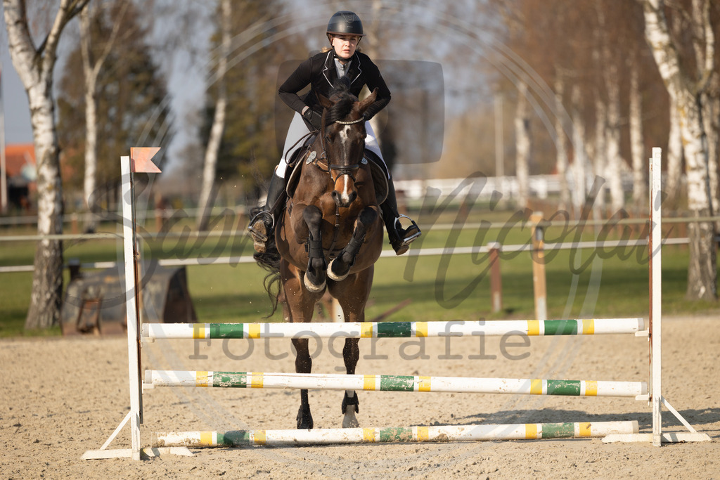 994A9770 | sabrinanicolaifotografie - Realisiert mit Pictrs.com