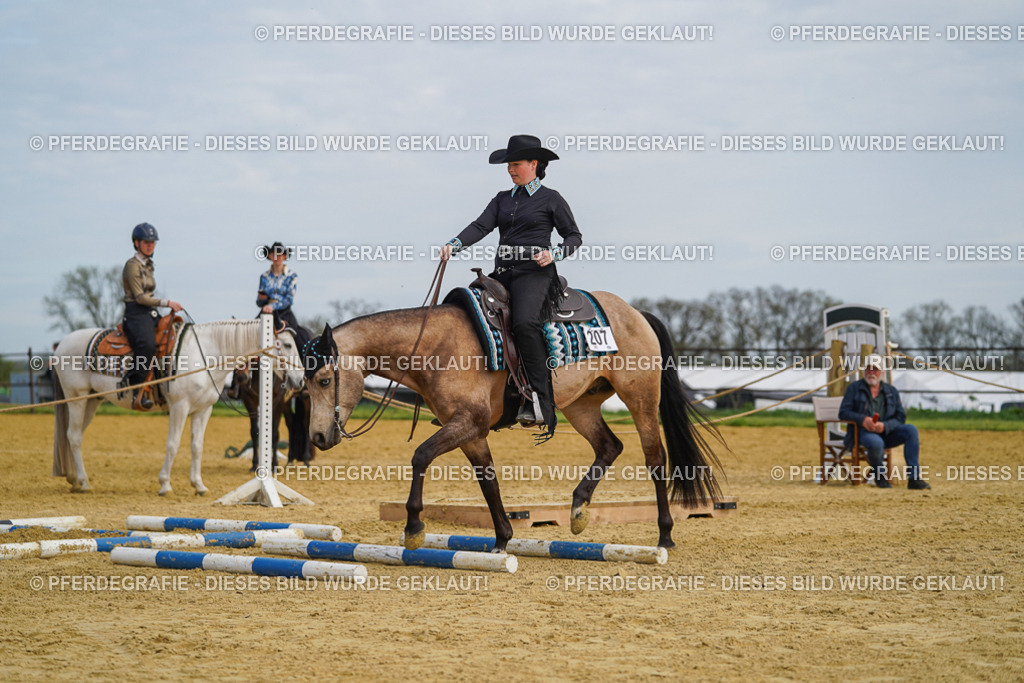 DSC03892 | Pferdegrafie