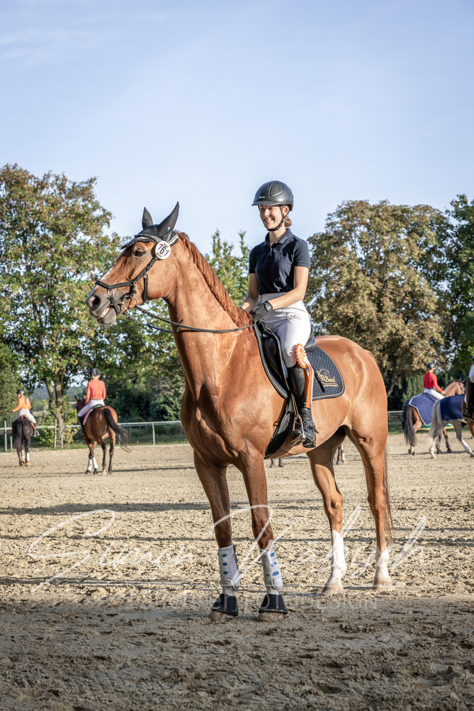 20250907-_3LI4698 | Tierfotografie Pferde, Hunde, Katzen, Haustiere.
Turnierfotografie Reitturniere, Reiten, Springreiten, Dressur in Hanau, dem Main-Kinzig-Kreis und dem Rhein-Main- Gebiet um Frankfurt