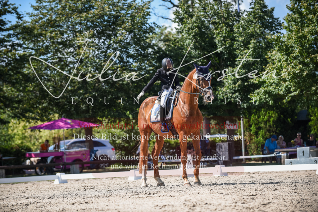 DSC_9509 | Pferde- und Turnierfotografie in Westsachsen. Pferdeportraits, Auftragszeichnungen und intuitive Kunst.
