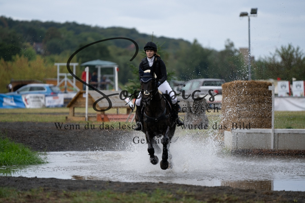 A7V00061 | Pferdefotograf