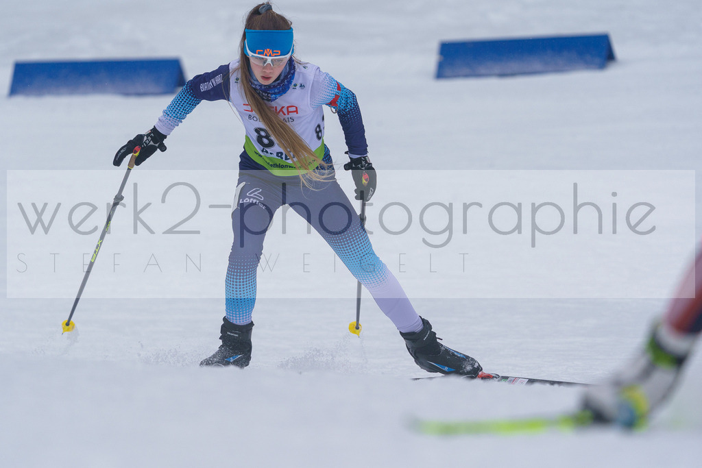 DSC Arber | Bayerischer Wald am 9. bis 12. Februar 2023
