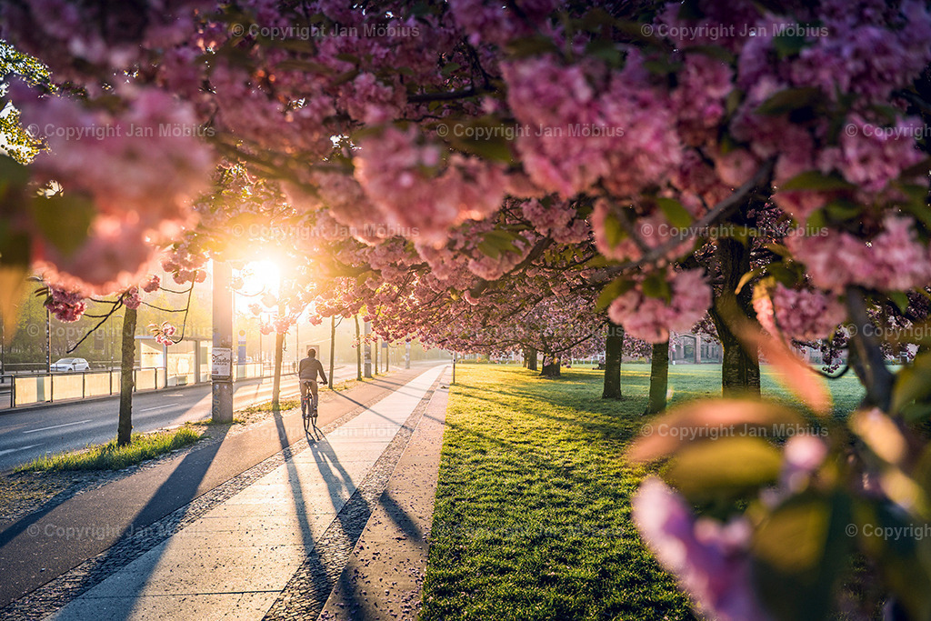 _DSC1727-2 | Leipzig Wandbilder Drucke Prints Leinwand Stadtmotive Leipzig Fotosdruck Kunstdrucke Bilder Leipzig Stadtansichten Acrylglasbilder Leipzig Wanddeko Fine Art Prints Wandbilder Büro Leipzig Bilder Praxis Zuhause Bilderdruck Poster Posterlounge Kunstdrucke - Realisiert mit Pictrs.com
