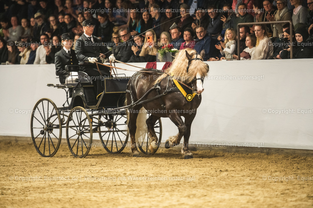20240302_Hengstvorstellung_Marbach_TOMsPiC_0667 | equistock