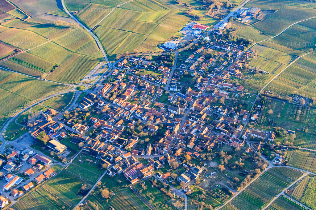 Luftbild: Winzerort im Winter aus Nordwesten im Ortsteil Schweigen in Schweigen-Rechtenbach im Bundesland Rheinland-Pfalz in Deutschland. Foto: IMG_61921.jpg vom 28.01.2014 durch Werner Riehm/FLY-FOTO.de