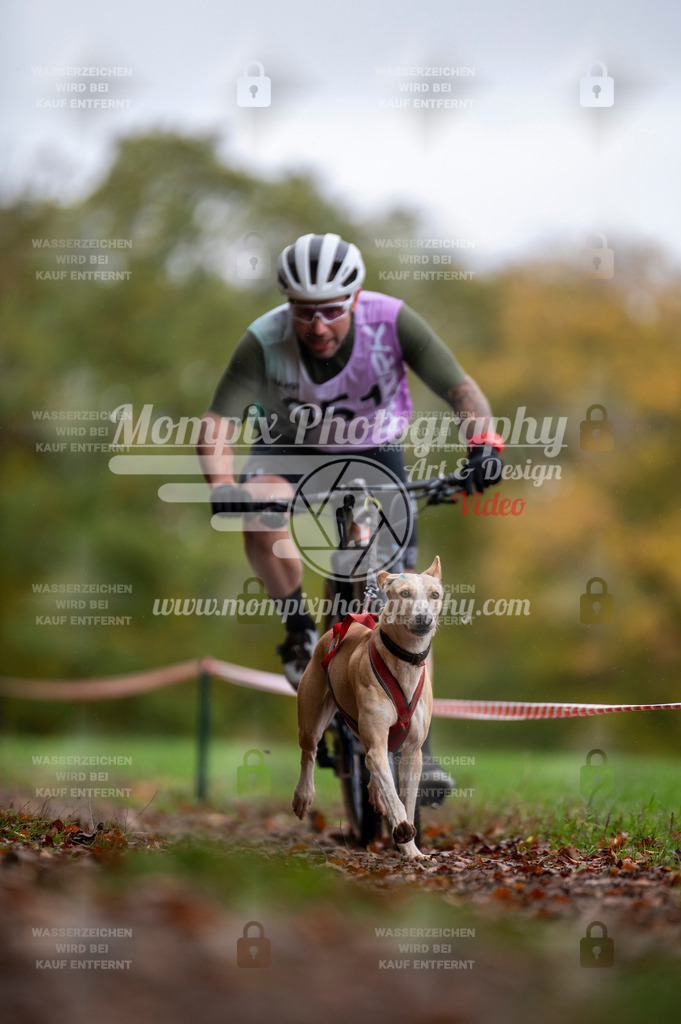 DBT_DAKM_SA_4_11_2023_Bike-10 | PayLife