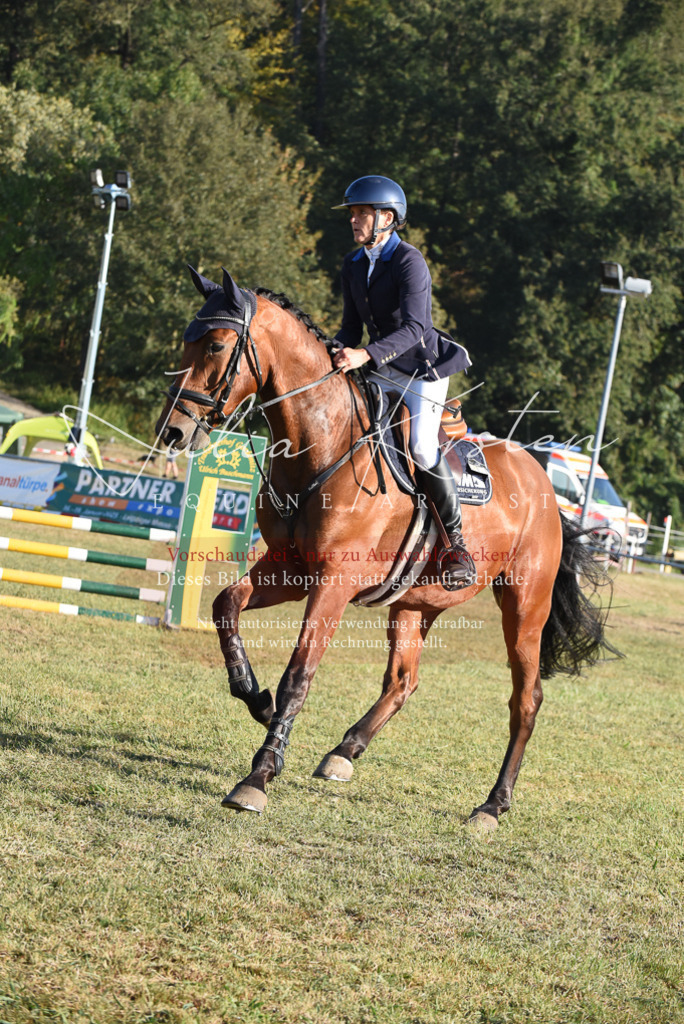 DSC_5052 | Pferde- und Turnierfotografie in Westsachsen. Pferdeportraits, Auftragszeichnungen und intuitive Kunst.