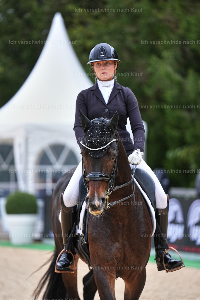 04_1-104-Dressur M__ -Marixx-2740 | working equitationturnier fotograf videograf stoibphotography marixx film working equitation deutschland reitsport turnierfotografie eventfotografie equestrian events