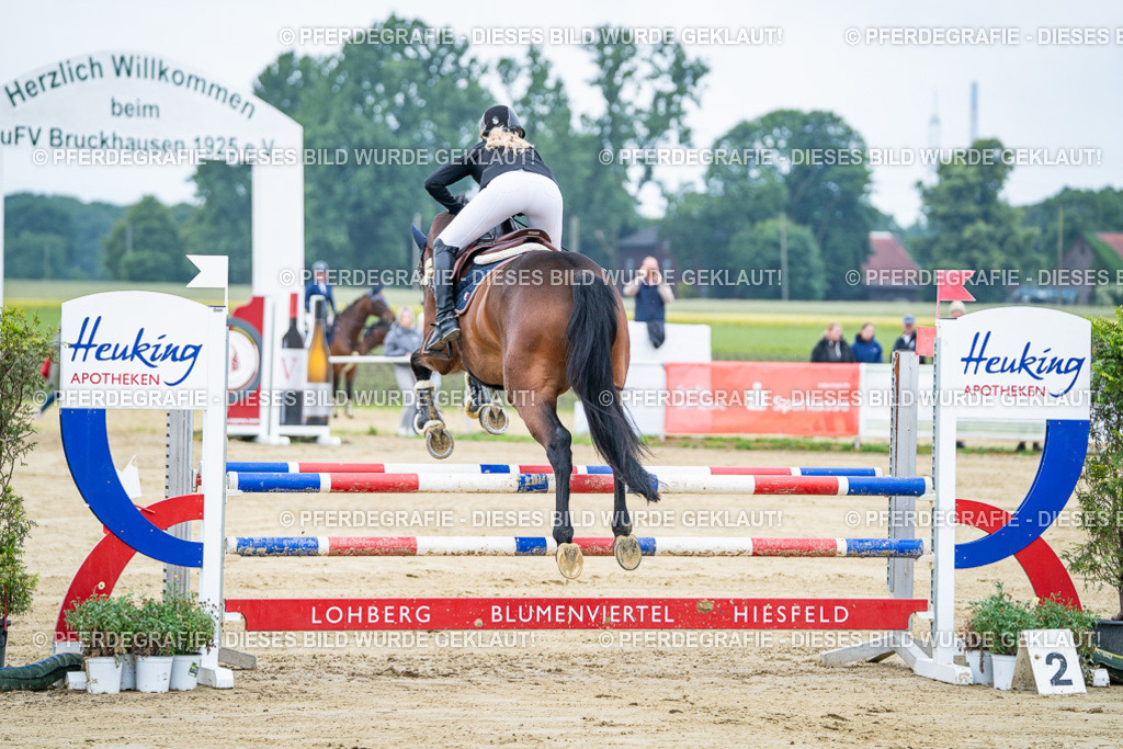 DSC03344 | Pferdegrafie