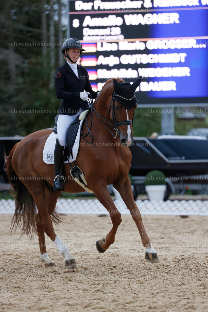 04_2-064-Dressur M__ -StoibPH-2993 | working equitationturnier fotograf videograf stoibphotography marixx film working equitation deutschland reitsport turnierfotografie eventfotografie equestrian events