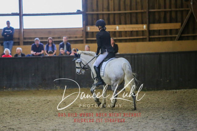 IMG_1616 | Turniersportfotografie; Pferdefotografie; Dressurfotografie