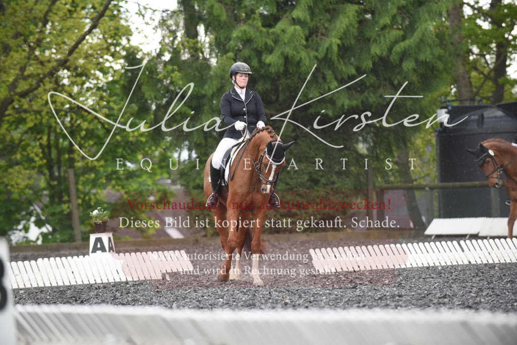 20230513_JK-Röhrsdorf-15-233 | Pferde- und Turnierfotografie in Westsachsen. Pferdeportraits, Auftragszeichnungen und intuitive Kunst.